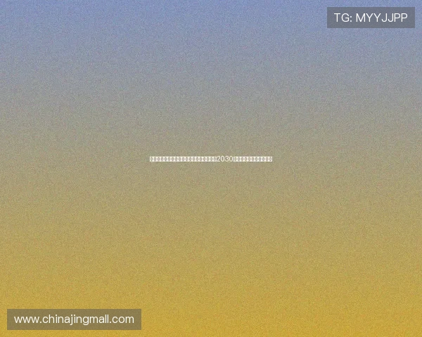 那不勒斯计划与年轻前锋安布罗西诺续约至2030年巩固球队未来锋线实力