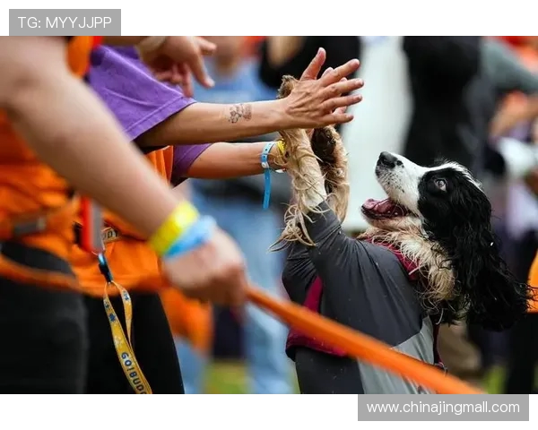 马克西携爱犬挑战敏捷赛道现场观众热情高涨达15000人